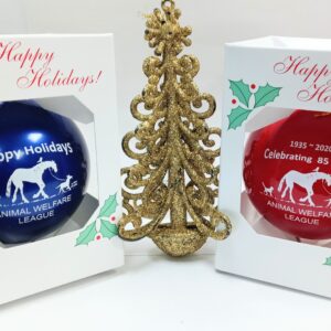 Holiday Ornament 2020