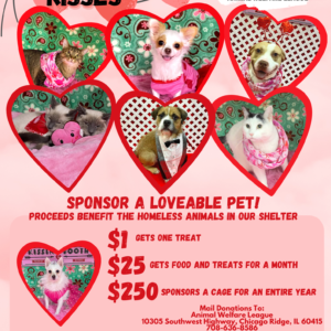 Animal Food and Treats for a Month